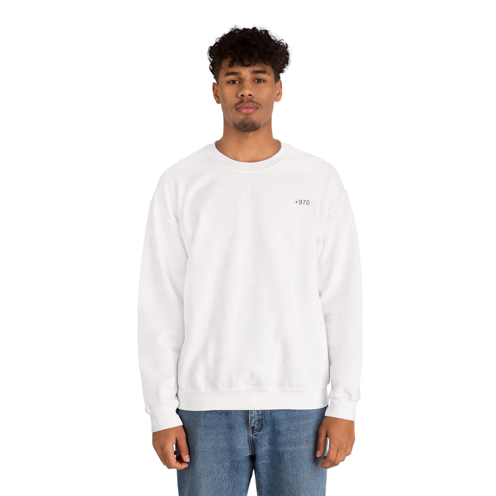 Palestine Sweatshirt
